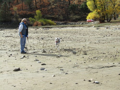 Lucky supervising Grandpa  